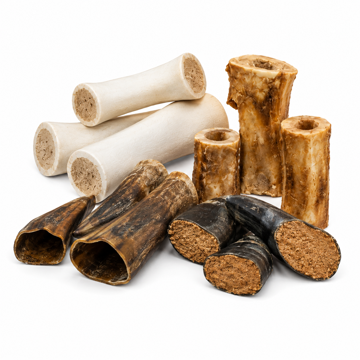 Water Buffalo Bones