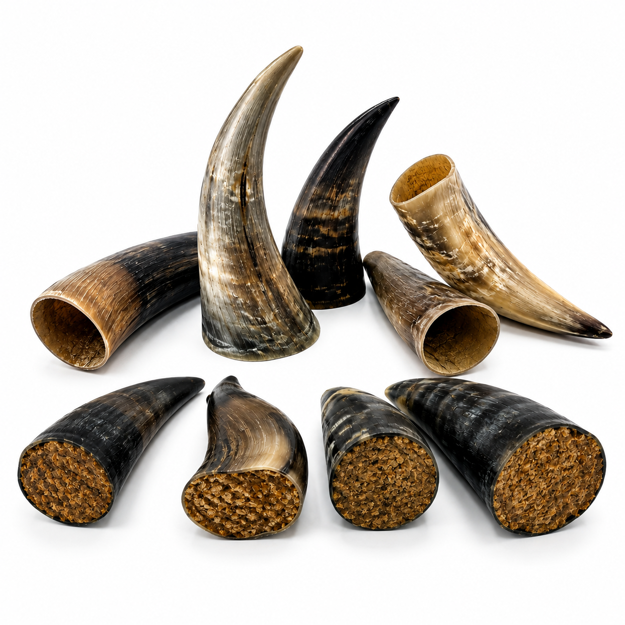 Horns & Stuffed Horns